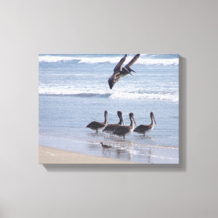 Pelican Birds Wilde Dieren Oceaan Canvas Afdruk