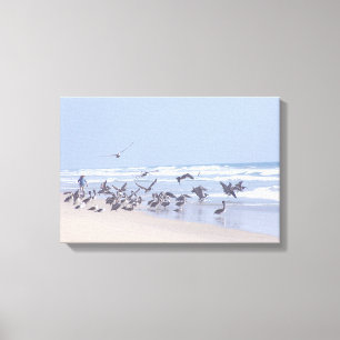Pelican Birds Wilde Dieren Oceaan Canvas Afdruk