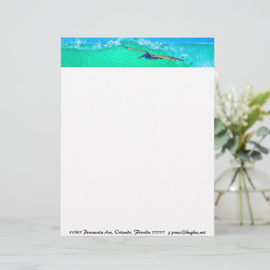 Pelican Birds Wilde Levensdieren Briefhoofd (Staand voorkant)