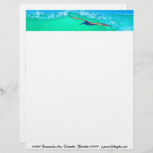 Pelican Birds Wilde Levensdieren Briefhoofd (Voorkant / Achterkant)