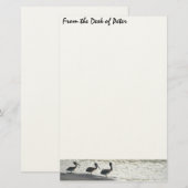 Pelican Birds Wilde Levensdieren Briefpapier (Voorkant / Achterkant)