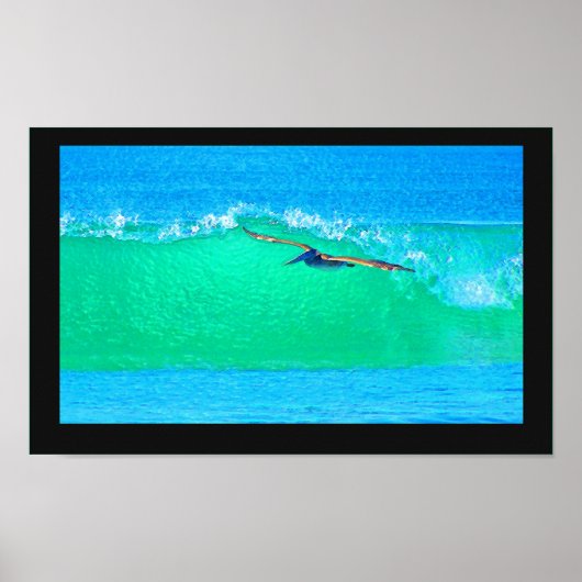 Pelican Birds Wilde Levensdieren Poster (Voorkant)