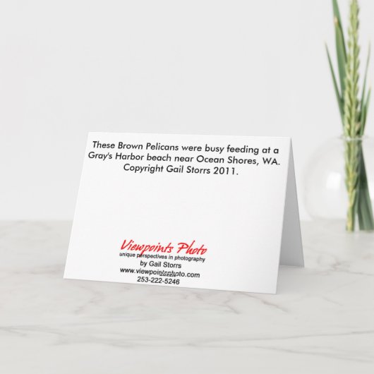 Pelican Birthday 1 Kaart (Achterkant)