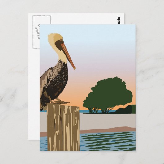 Pelican Briefkaart (Voorkant / Achterkant)