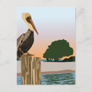 Pelican Briefkaart