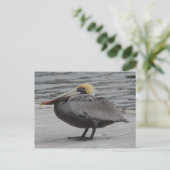 Pelican Briefkaart (Staand voorkant)