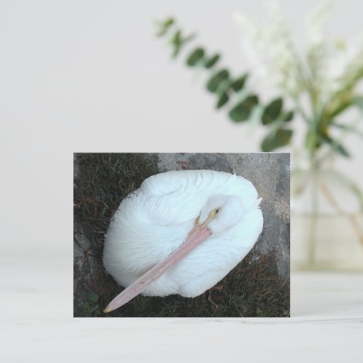 Pelican Briefkaart (Staand voorkant)