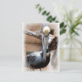 Pelican Briefkaart (Staand voorkant)