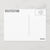 Pelican Briefkaart (Achterkant)