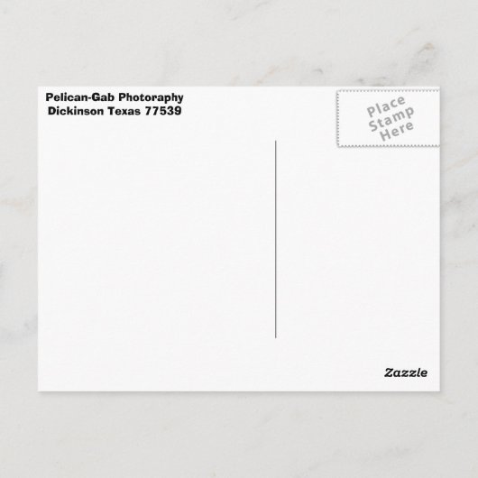 Pelican Briefkaart (Achterkant)