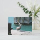 Pelican Briefkaart (Staand voorkant)