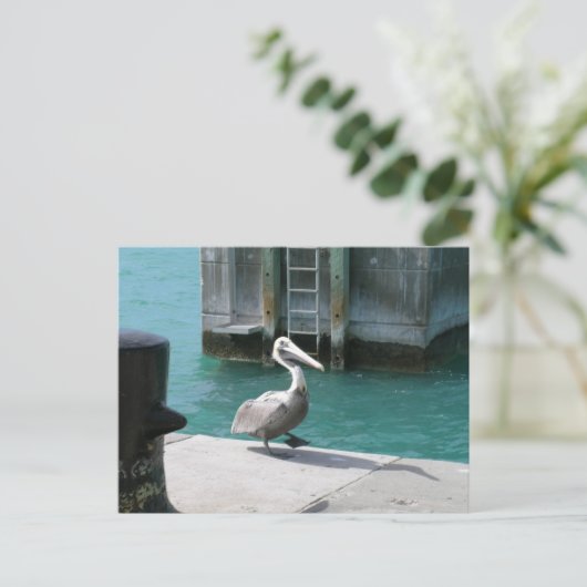 Pelican Briefkaart (Staand voorkant)