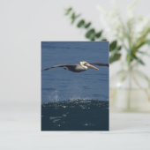 Pelican Briefkaart (Staand voorkant)