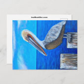 Pelican Briefkaart (Voorkant / Achterkant)