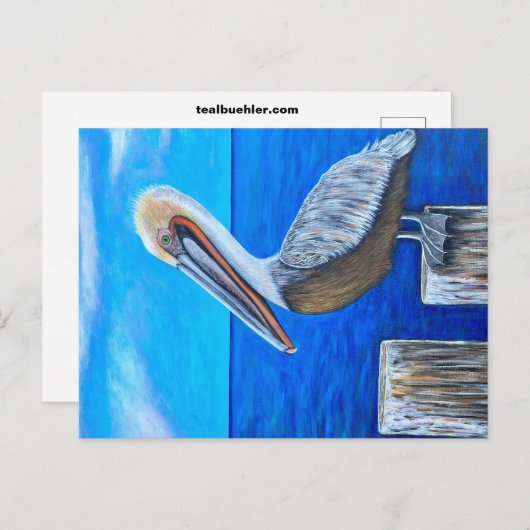 Pelican Briefkaart (Voorkant / Achterkant)