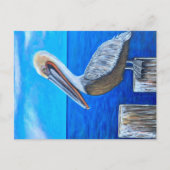 Pelican Briefkaart (Voorkant)