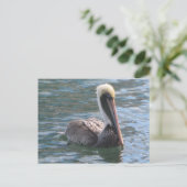 Pelican Briefkaart (Staand voorkant)