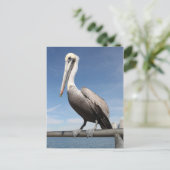 Pelican Briefkaart (Staand voorkant)