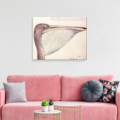Pelican, c.1590 canvas afdruk (Insitu (Woonkamer))