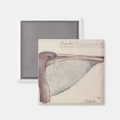 Pelican, c.1590 magneet (Voorkant / Achterkant)