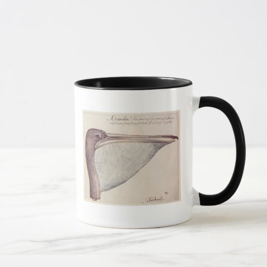 Pelican, c.1590 mok (Rechts)