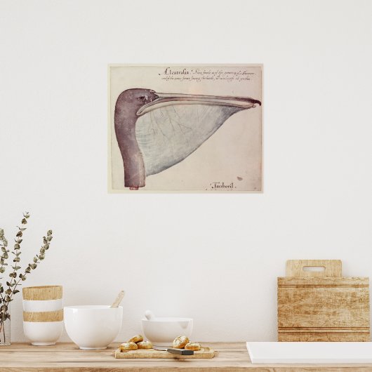 Pelican, c.1590 poster (Keuken)