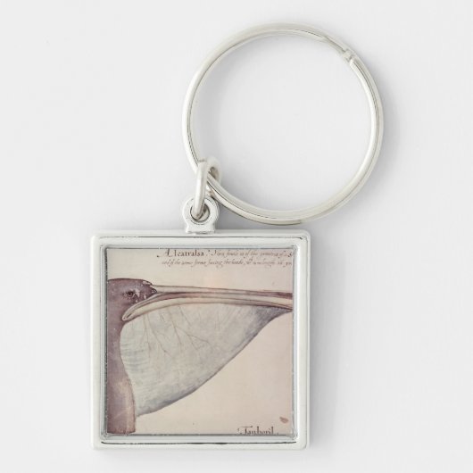 Pelican, c.1590 sleutelhanger (Voorkant)