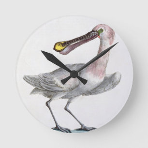 Pelican, c.1767-76 (met de hand gekleurd) ronde klok