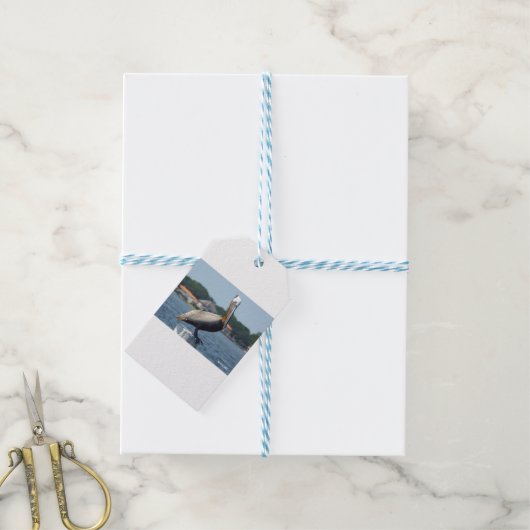 PELICAN CADEAULABEL (Met Touw)