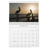 Pelican Calendar Kalender (Jan 2027)