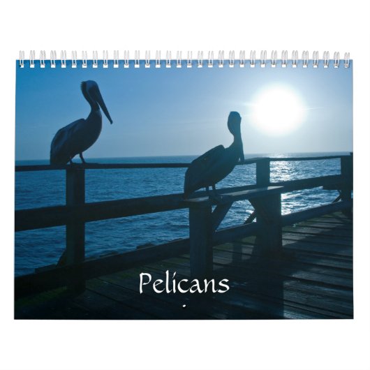 Pelican Calendar Kalender (Hoes)