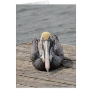 Pelican Card