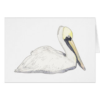 Pelican Cards