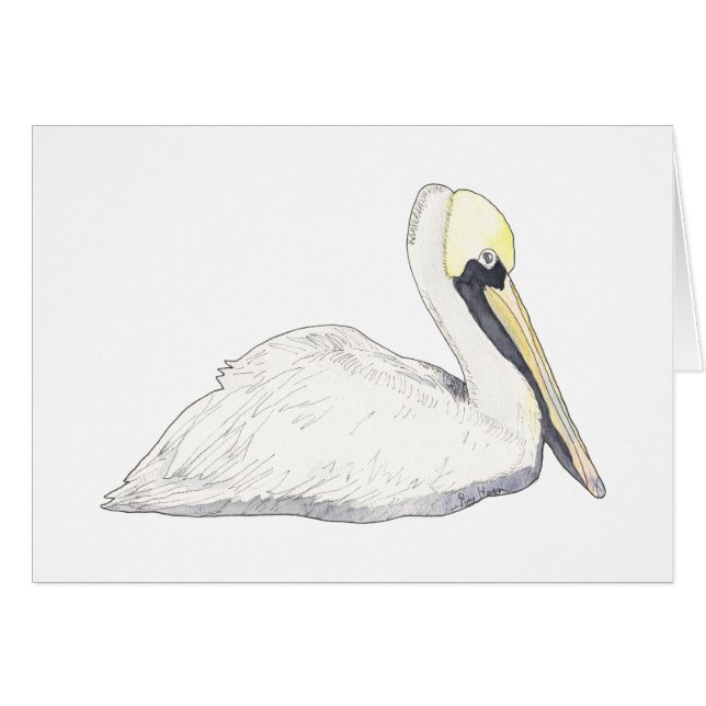 Pelican Cards (Voorkant Horizontaal)