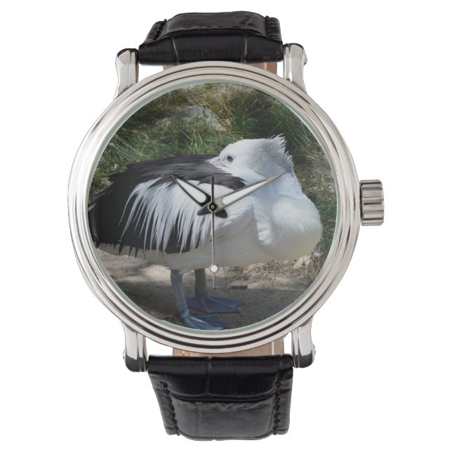 Pelican Cat Napping stand up, Horloge (Voorkant)