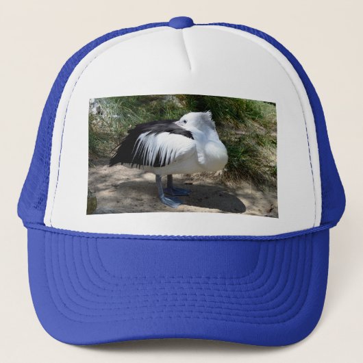 Pelican Cat Naps, Trucker Hat Pet (Voorkant)