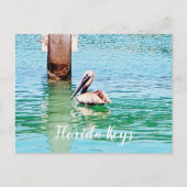 Pelican Chilling in Florida Keys Ocean Briefkaart (Voorkant)