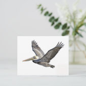 Pelican Clear Briefkaart (Staand voorkant)