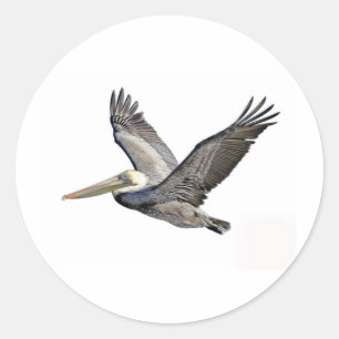 Pelican Clear Ronde Sticker