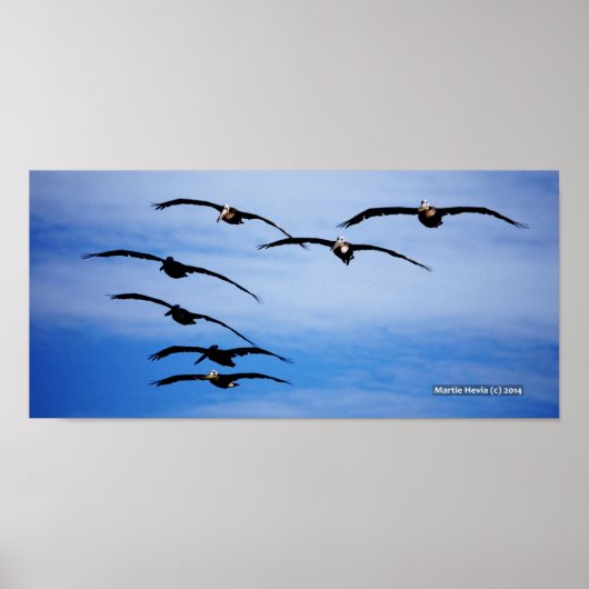 Pelican Cluster IV Poster (Voorkant)