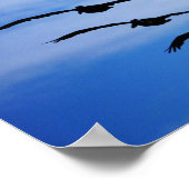 Pelican Cluster IV Poster (Hoek)