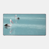 Pelican Couple Paddling op rustig aquawater Bureaumat (Voorkant)