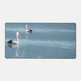 Pelican Couple Paddling op rustig blauw water Bureaumat