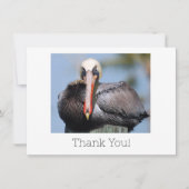 Pelican Dank je wel Bedankkaart (Voorkant)