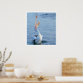 Pelican die een vis vangt poster (Keuken)