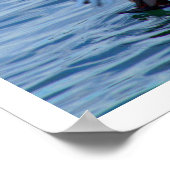 Pelican die een vis vangt poster (Hoek)