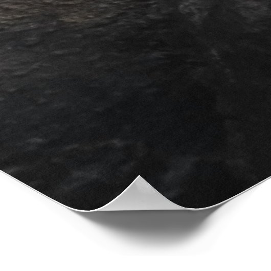 Pelican Discussions - of was het een grap? Poster (Hoek)