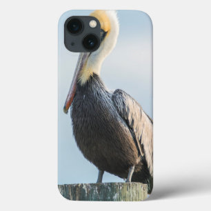 Pelican, doorgesluisd op een pylon Case-Mate iPhone case