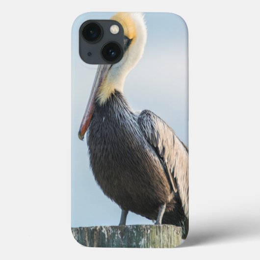 Pelican, doorgesluisd op een pylon Case-Mate iPhone case (Achterkant)