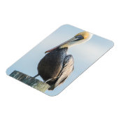 Pelican, doorgesluisd op een pylon magneet (Linkerzijde)